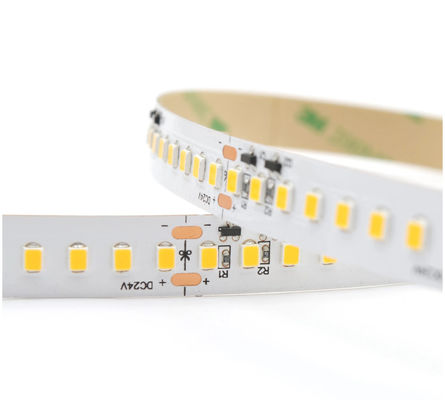 Smd2835 24v Dc monocolore LED Strip luci di alta luminosità Strip di luce con 240 perline