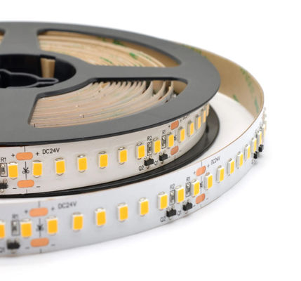Smd2835 24v Dc monocolore LED Strip luci di alta luminosità Strip di luce con 240 perline
