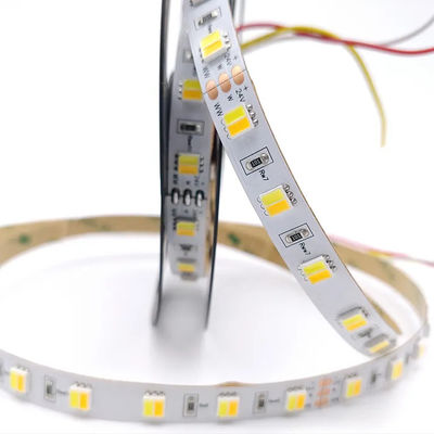 Bianco doppio flessibile di CW WW della striscia regolabile di temperatura del colore LED di CC 24V 5050