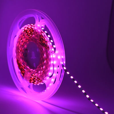 High Bright Dc12v 5v Thin Led Tape Cintas 4mm 5mm Flessibile Bianco caldo Rosso Blu Verde 120led Luces Led 2835 Led Strip Light