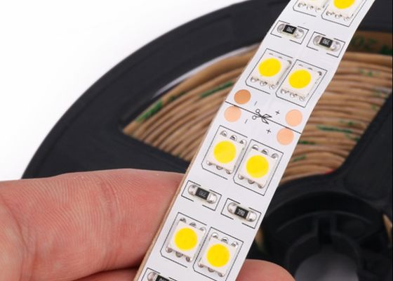 12V DC IP67 Strip LED monocolore 5050 doppia fila 120LED