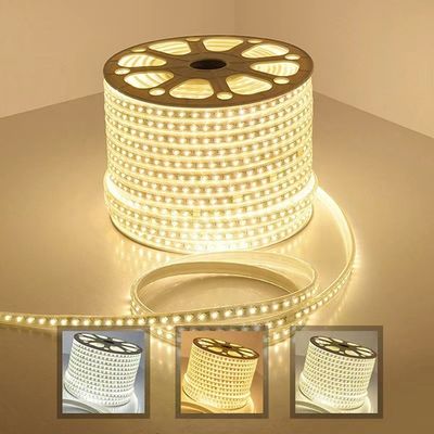 Singola luce di striscia flessibile di colore LED 220V 110V IP65 Wanterproof